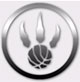 Toronto Raptors