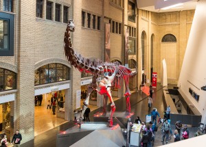 Entrance Royal Ontario Museum In Toronto