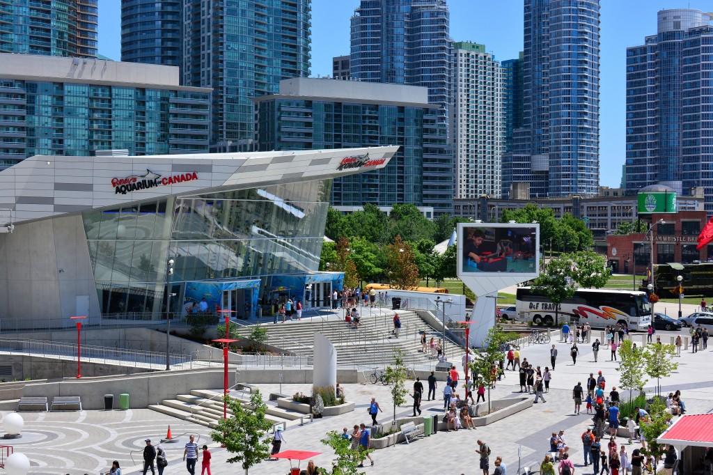 Family Fun Activities in Toronto