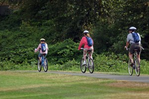 Family Fun Outdoor Activities in Toronto