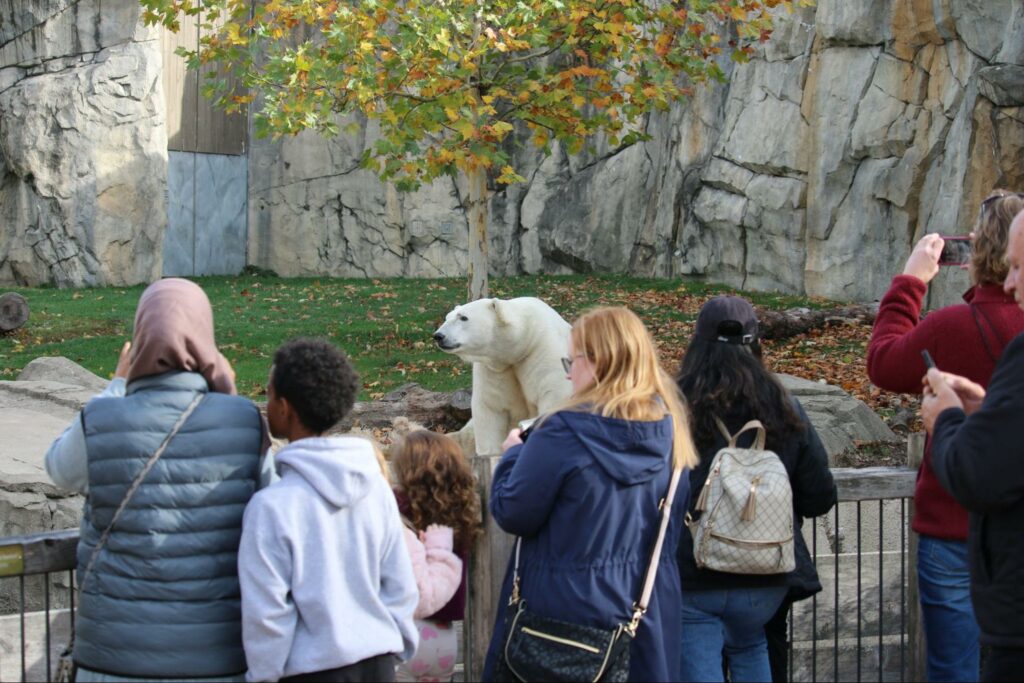 Visit Winter-Loving Friends at the Zoo