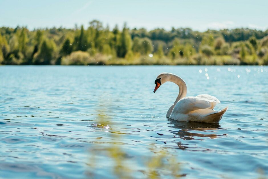 toronto national parks guide
