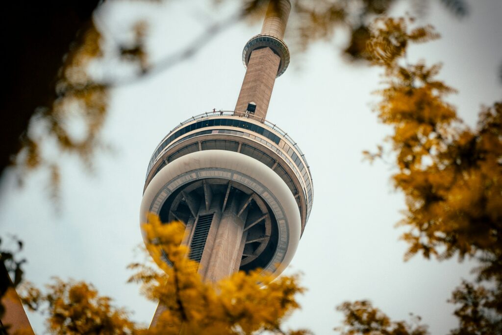 The CN tower shrouded by foliage.