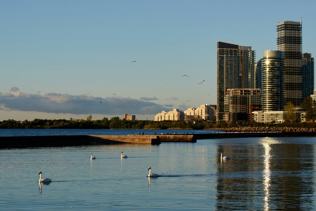Scenic lakefront condos in Toronto
