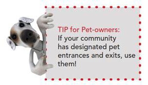 Pet Tips