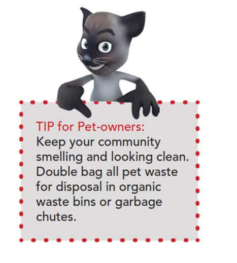 Pet Tip