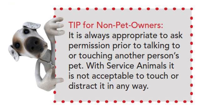 Pet Tip